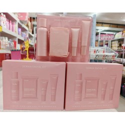 Fairy Skin Derma Facial Kit